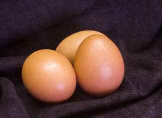 Custom T-Shirts for Corporate Gifts: How to Make Your Employees Smile Custom T-Shirts for Corporate Gifts: How to Make Your Employees Smile