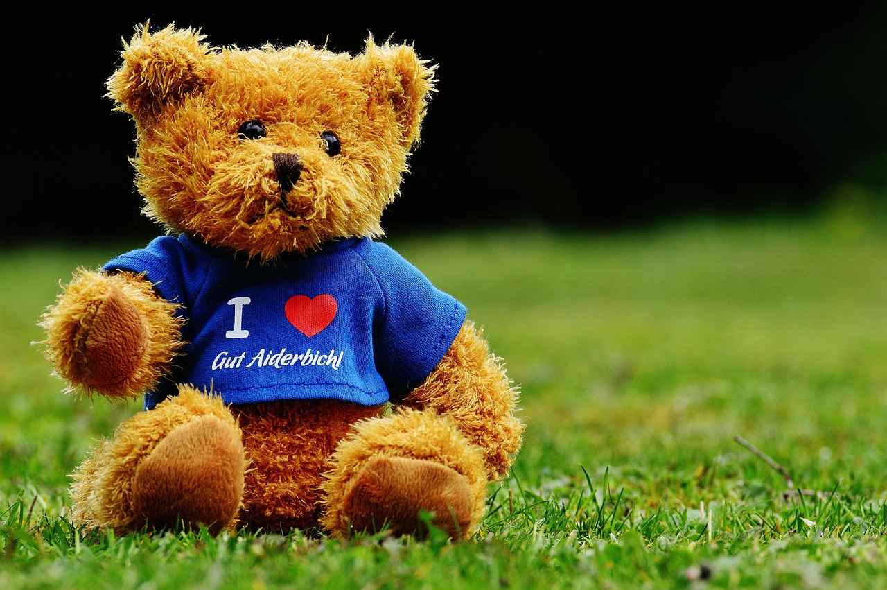 Custom T-Shirts for Gift Giving: How to Make a Unique Present 1 Why Choose Custom T-Shirts as Gifts?