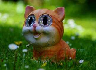 Custom T-Shirts for Pet Lovers: How to Create Shirts with Your Pet’s Image Custom T-Shirts for Pet Lovers: How to Create Shirts with Your Pet's Image