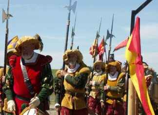 Custom T-Shirts for Pets: Fun and Unique Designs Custom T-Shirts for Pets: Fun and Unique Designs