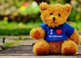 Custom T-Shirts Near Me: Find the Best Local Options for Personalized Apparel Custom T-Shirts Near Me: Find the Best Local Options for Personalized Apparel