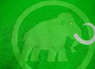 Custom T-Shirts with Faces: A Fun Way to Personalize Your Wardrobe Custom T-Shirts with Faces: A Fun Way to Personalize Your Wardrobe