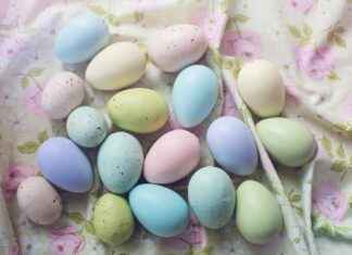 Custom Work Shirts: A Must-Have for Your Professional Wardrobe Custom Work Shirts: A Must-Have for Your Professional Wardrobe