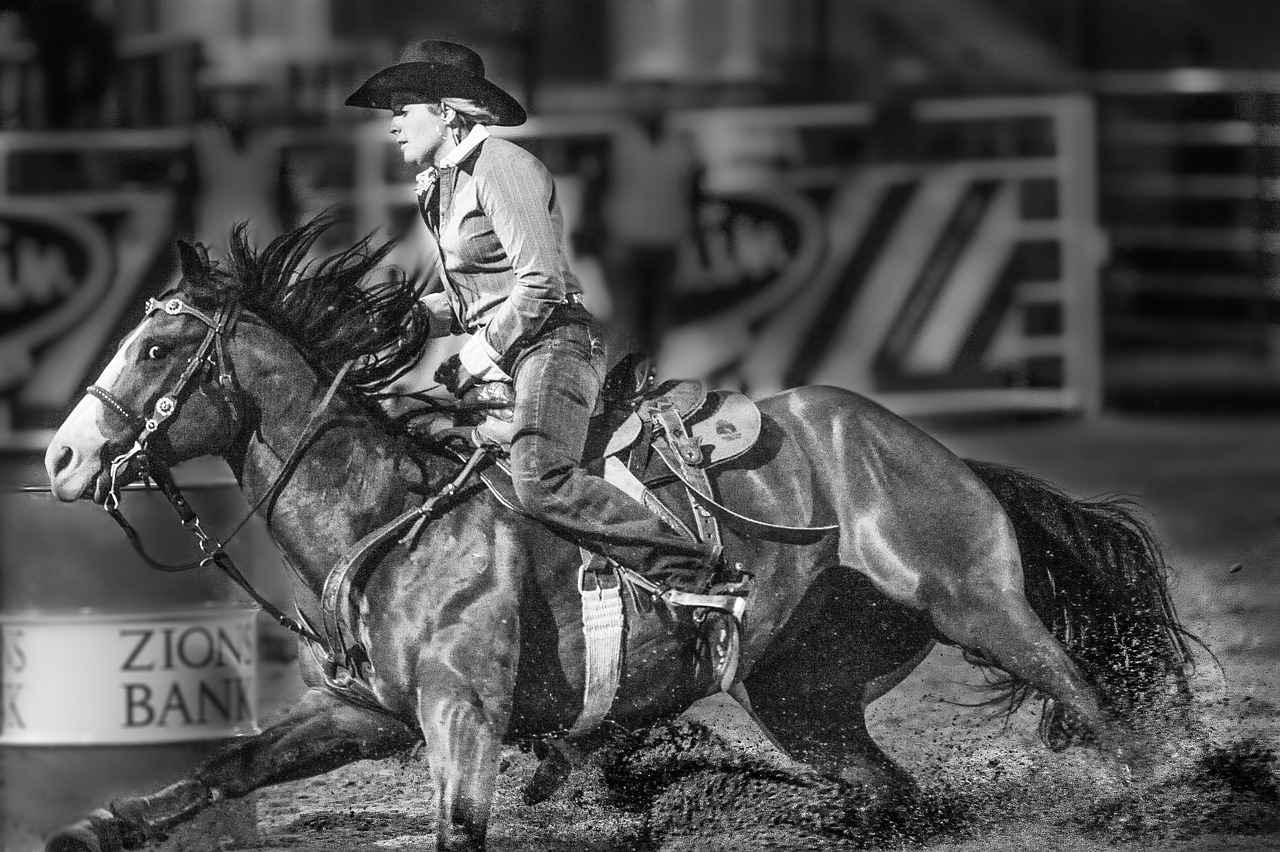 Dallas Cowboys vs Atlanta Falcons Match Player Stats 11 Fan Reactions and Attendance