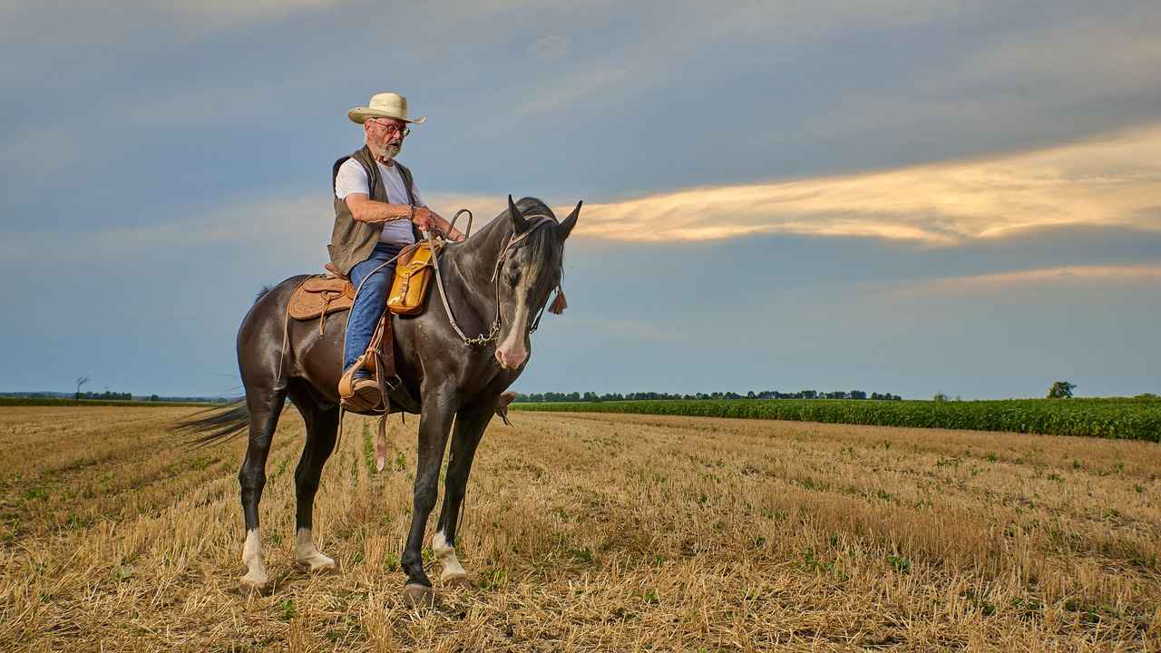 Defensive Standouts: Tackles and Sacks
