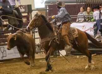 Dallas Cowboys vs. New York Giants: Player Stats and Game Recap Dallas Cowboys vs. New York Giants: Player Stats and Game Recap