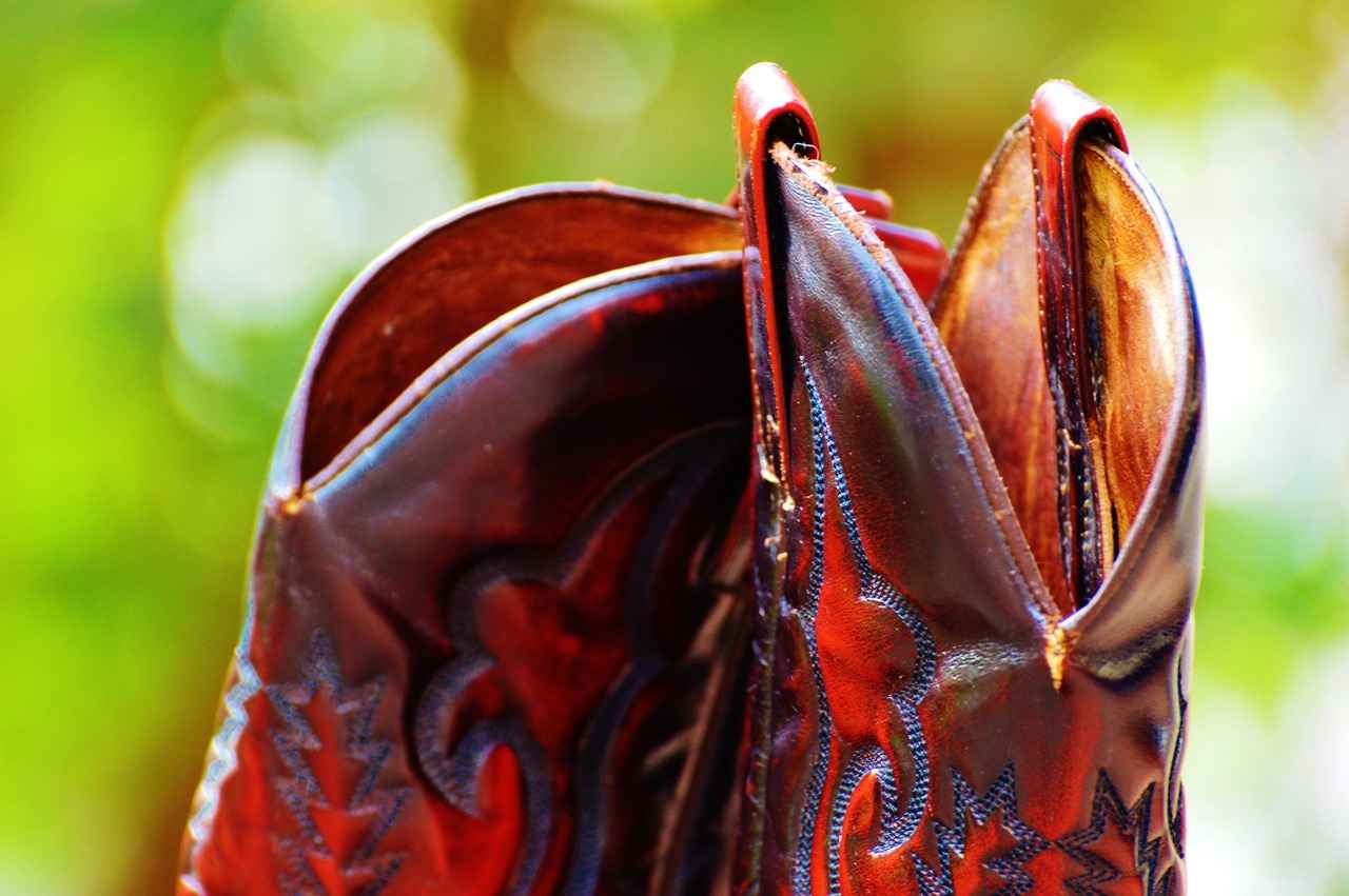 Defensive Standouts: Key Players to Watch