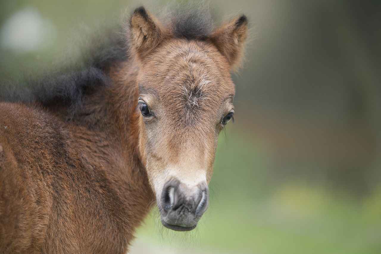 Key Player Matchups in the Cowboys vs Eagles Game