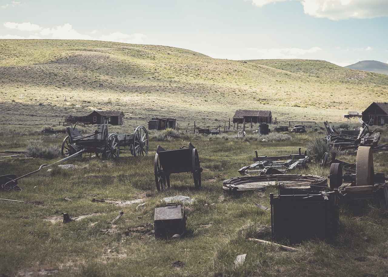 Historical Overview of Cowboys vs Steelers Matches