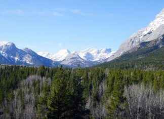 Dallas Cowboys vs. Washington Commanders: Key Performers and Stats Dallas Cowboys vs. Washington Commanders: Key Performers and Stats