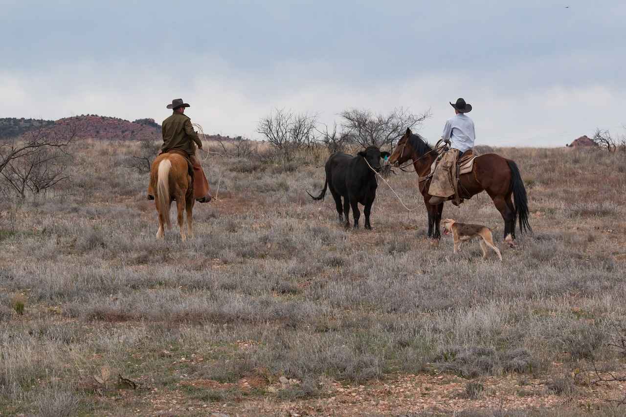 Dallas Cowboys vs Washington Commanders Match Player Stats 1 Quarterback Performance Analysis