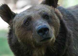 Dallas Mavericks vs. Boston Celtics: Player Efficiency Ratings and More Dallas Mavericks vs. Boston Celtics: Player Efficiency Ratings and More