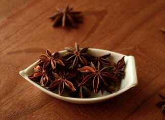 Dallas Stars vs. Colorado Avalanche: Top Performers and Game Analysis Dallas Stars vs. Colorado Avalanche: Top Performers and Game Analysis