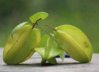 Dallas Stars vs. Minnesota Wild: Player Stats and Insights Dallas Stars vs. Minnesota Wild: Player Stats and Insights