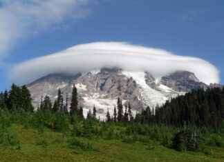 Dash Mount Phone Holders: The Safe Choice for Every Driver Dash Mount Phone Holders: The Safe Choice for Every Driver