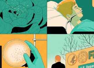 Deadly E. coli Outbreak in 15 States: FDA Silence Explained deadly-e-coli-outbreak-in-15-states-fda-silence-explained