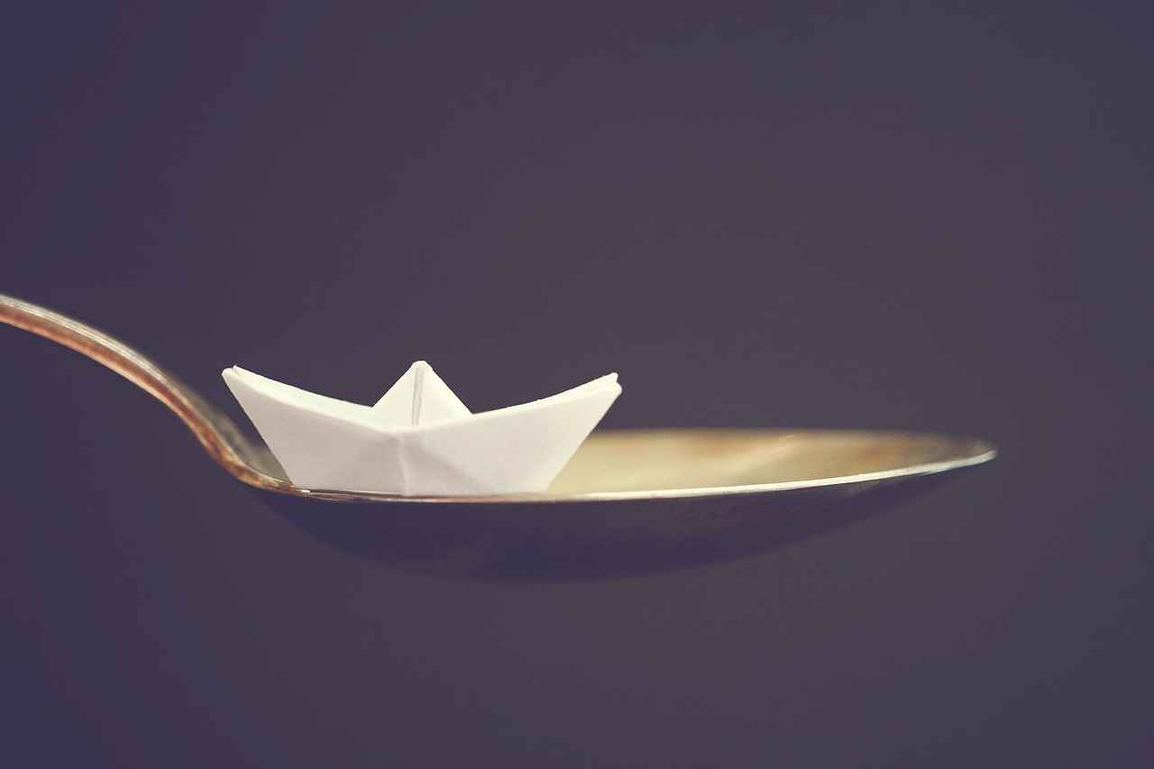 Fan Reception and Community Engagement