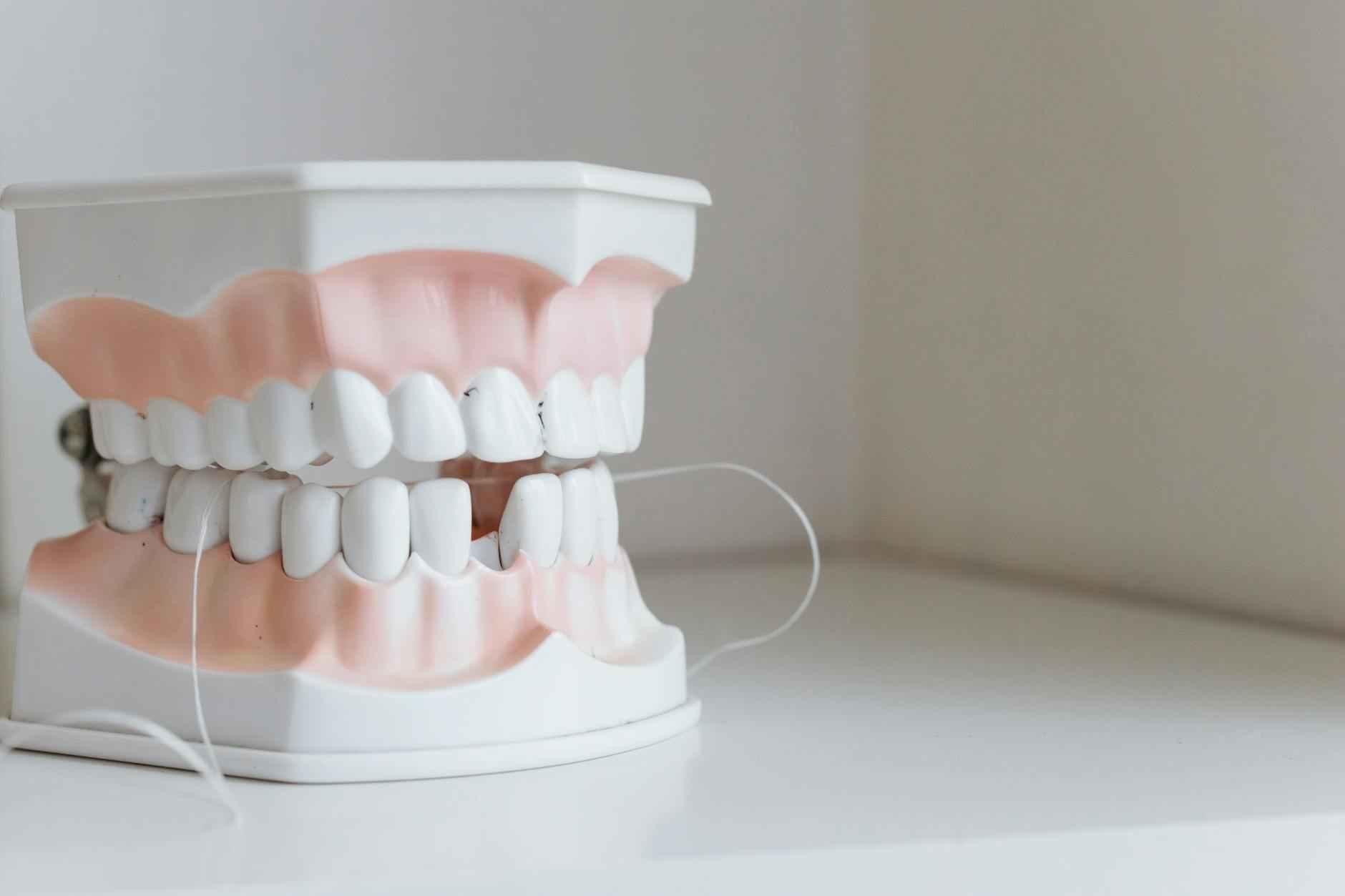 Embracing Your New Smile