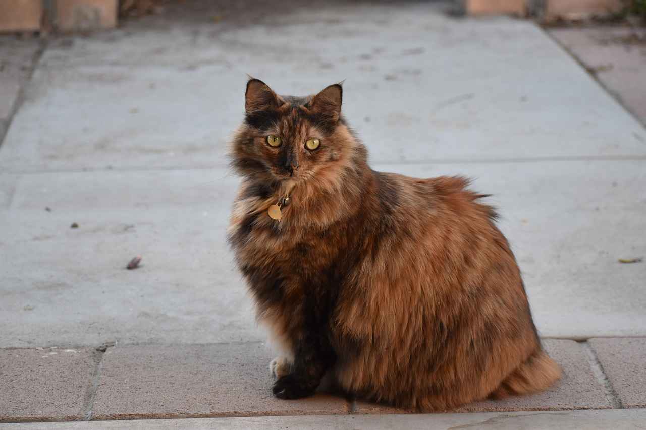 Wide Receivers: Catching Opportunities