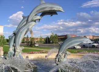 Denver Broncos vs New York Jets Match Player Stats Denver Broncos vs New York Jets Match Player Stats