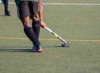 Detroit Red Wings vs. Ottawa Senators: Player Stats and Recap Detroit Red Wings vs. Ottawa Senators: Player Stats and Recap