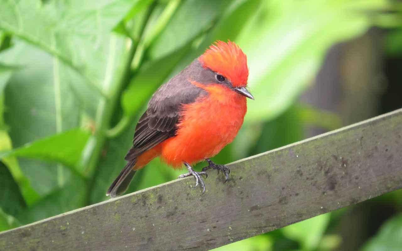 Discover the Best All-in-One Coffee Makers That Fit in Your Pocket 5 User Reviews and Experiences