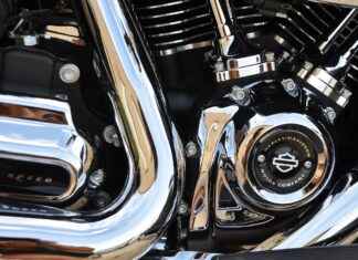 Discover the Best Vegetable Choppers for Your Cooking Routine Discover the Best Vegetable Choppers for Your Cooking Routine