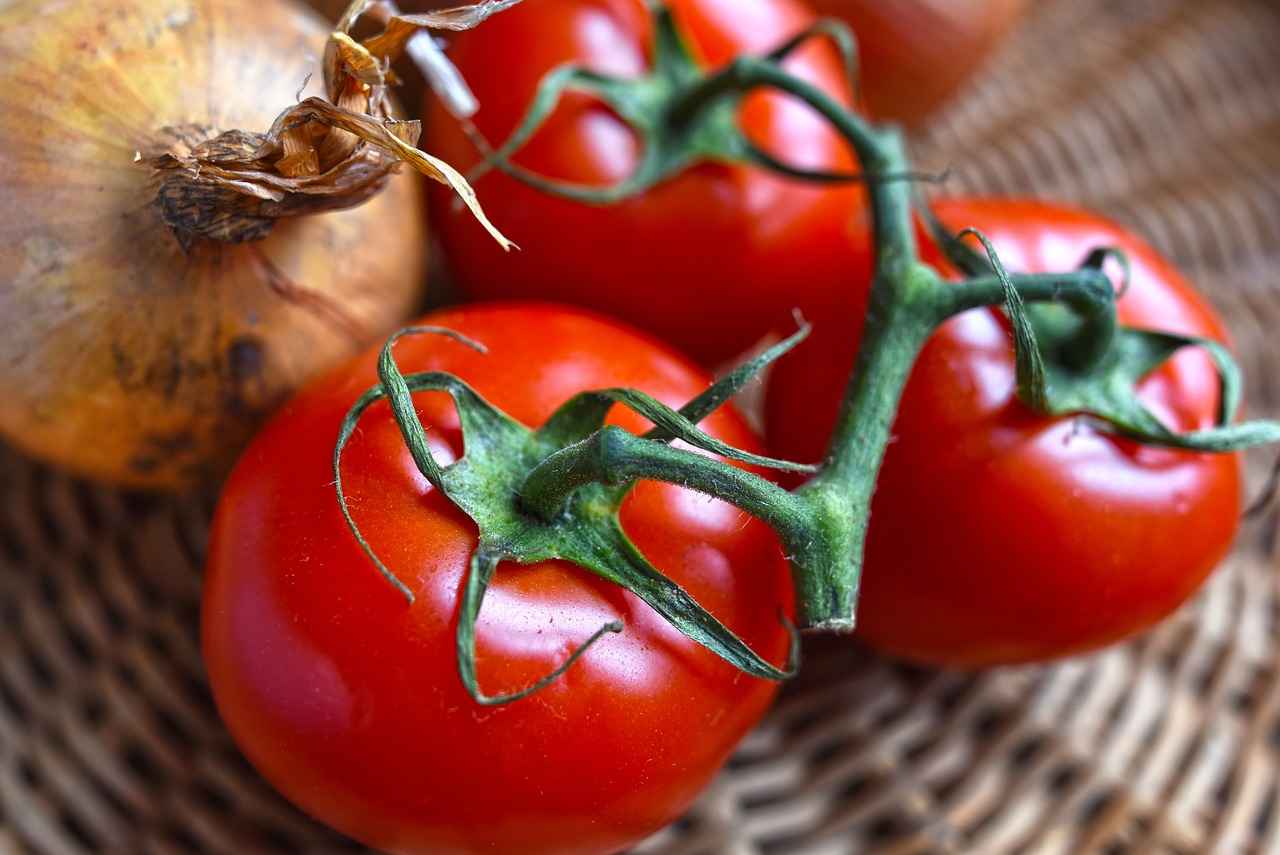 Discover the Best Vegetable Choppers for Your Cooking Routine 4 Top Vegetable Choppers on the Market