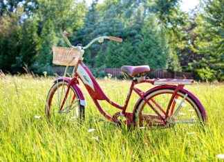 Discover the Top 5 Electric Bikes for Adults in 2025 Discover the Top 5 Electric Bikes for Adults in 2025