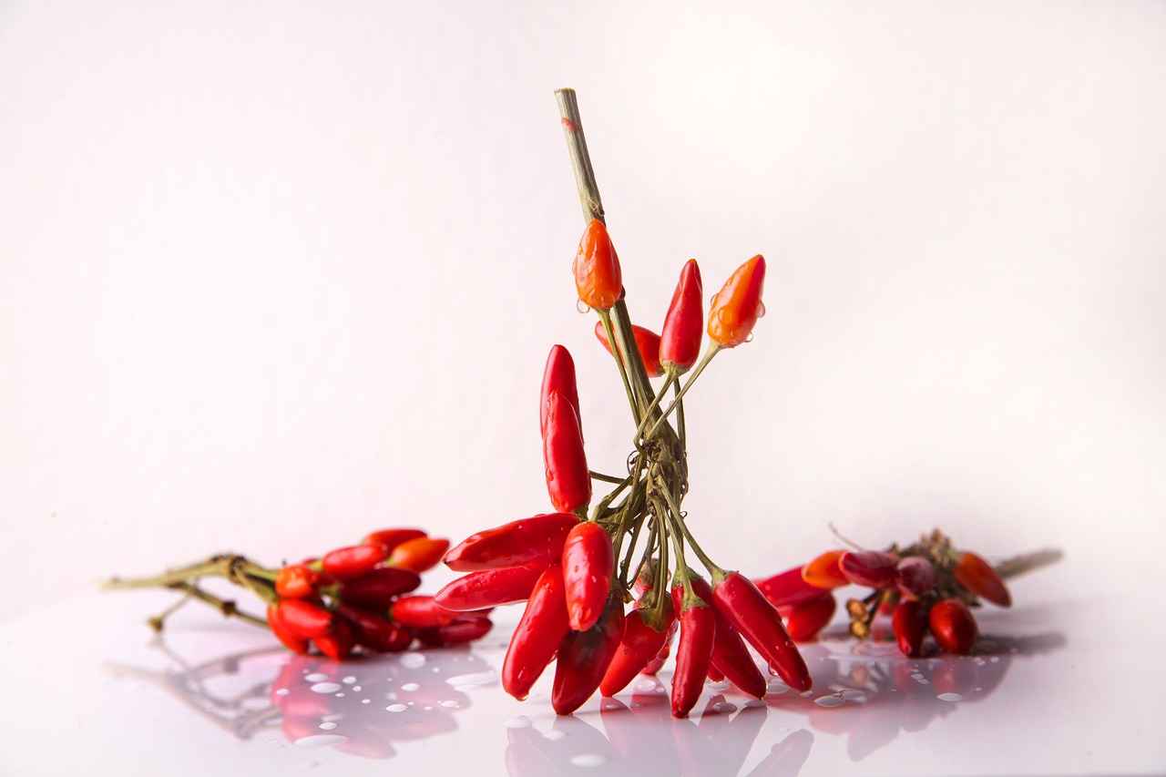 Discover the Top Vegetable Choppers for Every Need 1 Why Use a Vegetable Chopper?