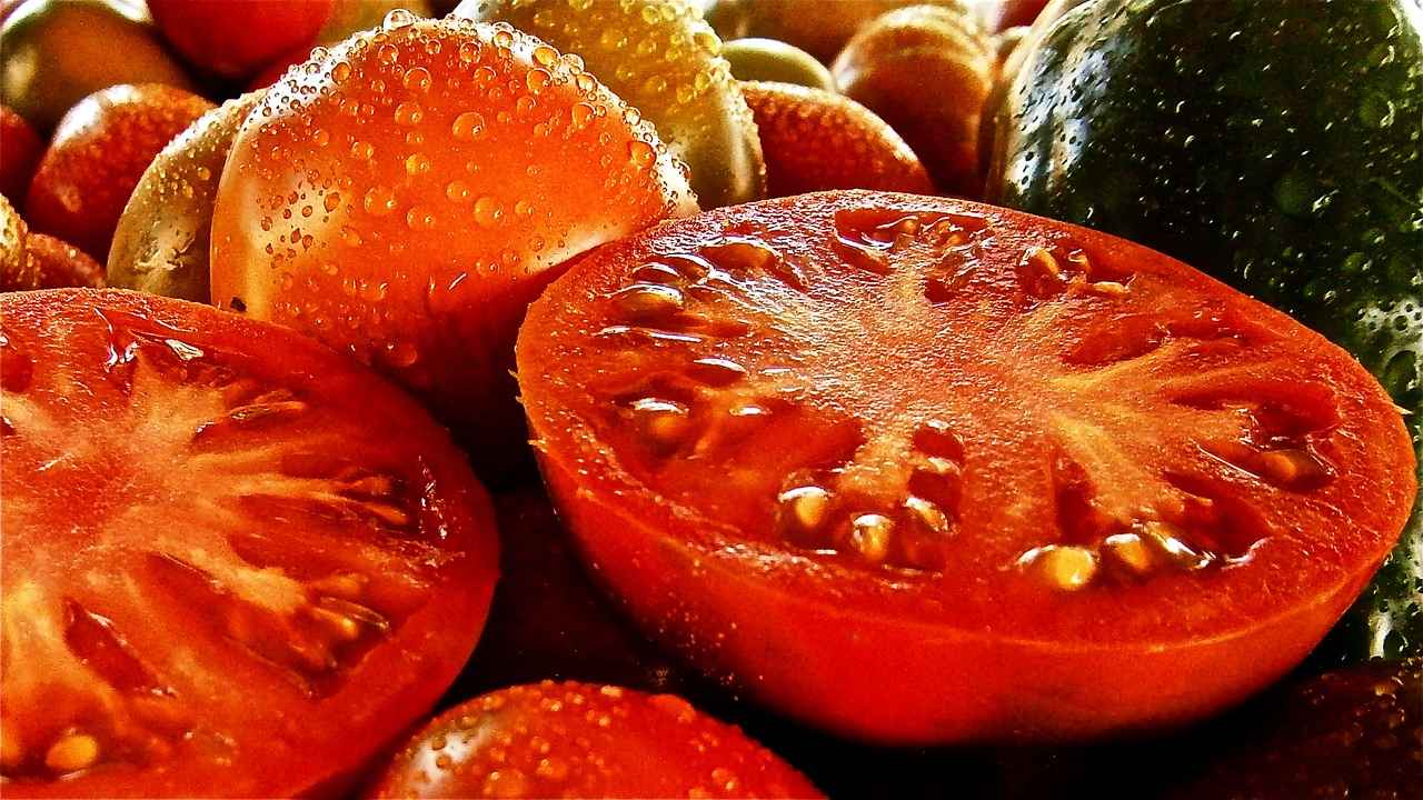 Discover the Top Vegetable Choppers for Every Need 4 Top Vegetable Chopper Recommendations