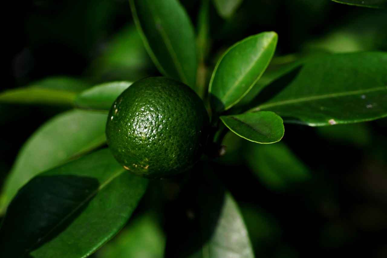 Future Research on Amino Acids