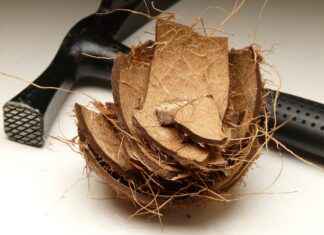 Does Coconut Water Break a Fast? Experts Weigh In Does Coconut Water Break a Fast? Experts Weigh In