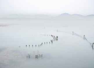 Does Drinking Water Break a Fast? The Truth About Hydration and Fasting Does Drinking Water Break a Fast? The Truth About Hydration and Fasting