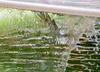 Does Hot Water Freeze Faster Than Cold? The Science Explained Does Hot Water Freeze Faster Than Cold? The Science Explained