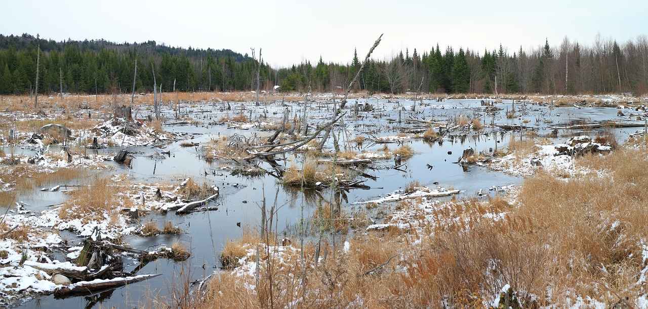 Does Hot Water Freeze Faster Than Cold? The Science Explained 1 The Mpemba Effect: An Overview