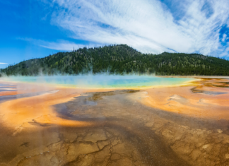 Does Hot Water Help You Lose Weight Faster? Does Hot Water Help You Lose Weight Faster?