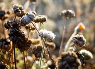 Does Hot Water or Cold Water Freeze Faster? Does Hot Water or Cold Water Freeze Faster?