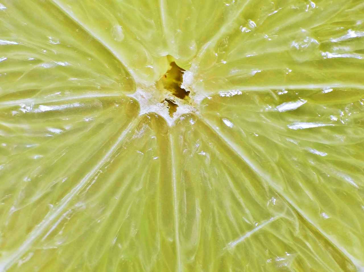 The Science Behind Fasting