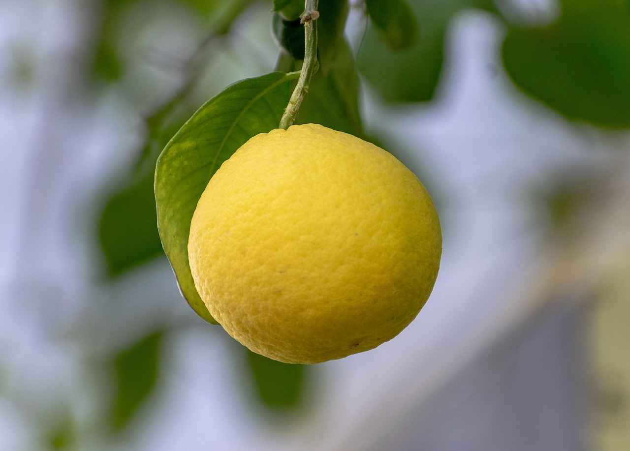 How to Incorporate Lemon Water into Your Fasting Routine