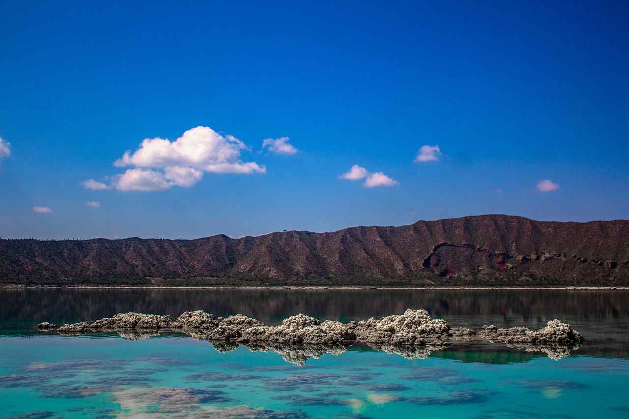 Understanding Boiling Point Elevation