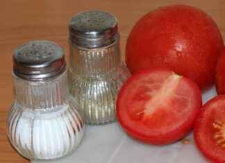 Does Salt Make Water Boil Faster? Myth or Science? Does Salt Make Water Boil Faster? Myth or Science?