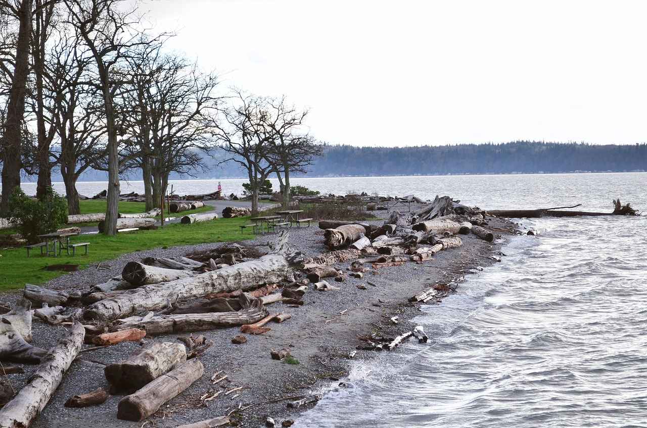 How Sound Travels in Water