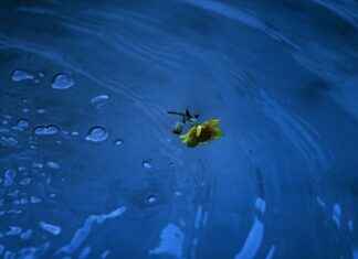 Does Water Fasting Affect Blood Pressure? What to Expect Does Water Fasting Affect Blood Pressure? What to Expect