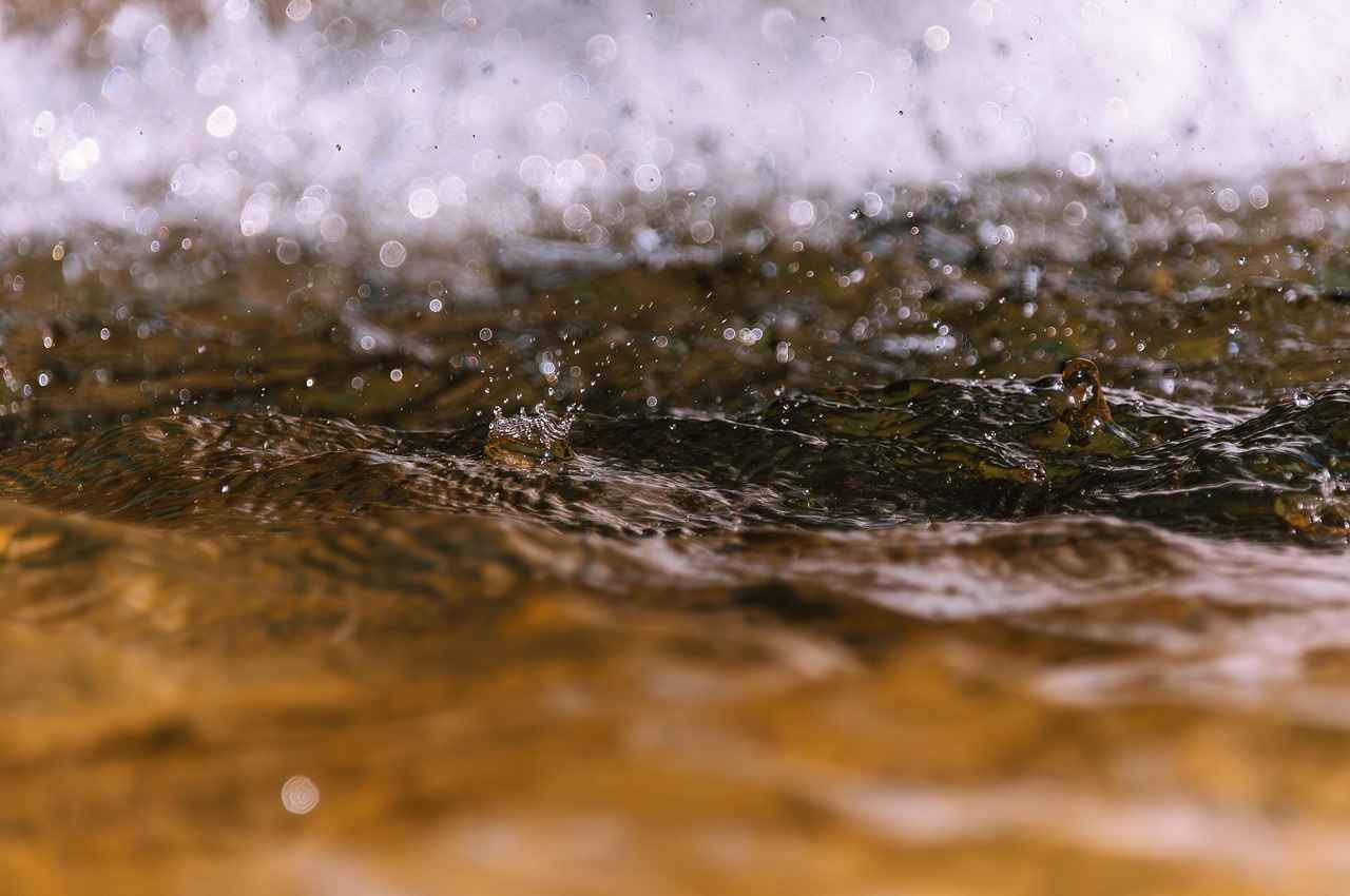Risks and Considerations of Water Fasting