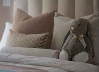 Dog Bed Cover: Protect Your Dog’s Bed with These Options Dog Bed Cover: Protect Your Dog's Bed with These Options