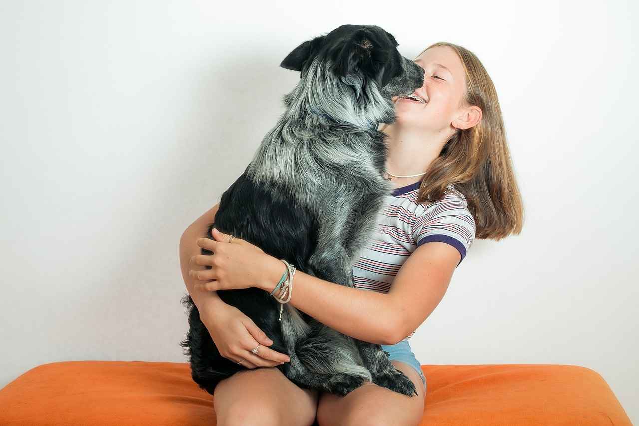 Why Your Dog Needs a Car Bed