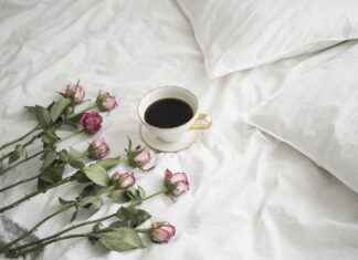 Dog Bed Frame: Stylish Frames for Your Dog’s Bed Dog Bed Frame: Stylish Frames for Your Dog’s Bed