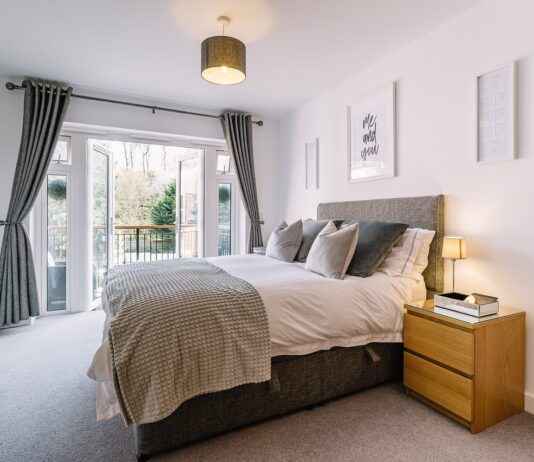 Dog Beds for Humans: The Ultimate Pet Bed for Humans and Dogs Dog Beds for Humans: The Ultimate Pet Bed for Humans and Dogs