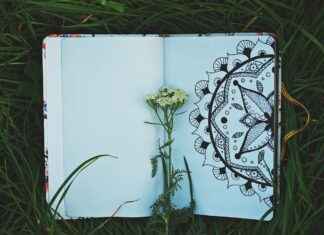 Doodle Haircut Styles: The Cutest Grooming Styles for Goldendoodles and More Doodle Haircut Styles: The Cutest Grooming Styles for Goldendoodles and More